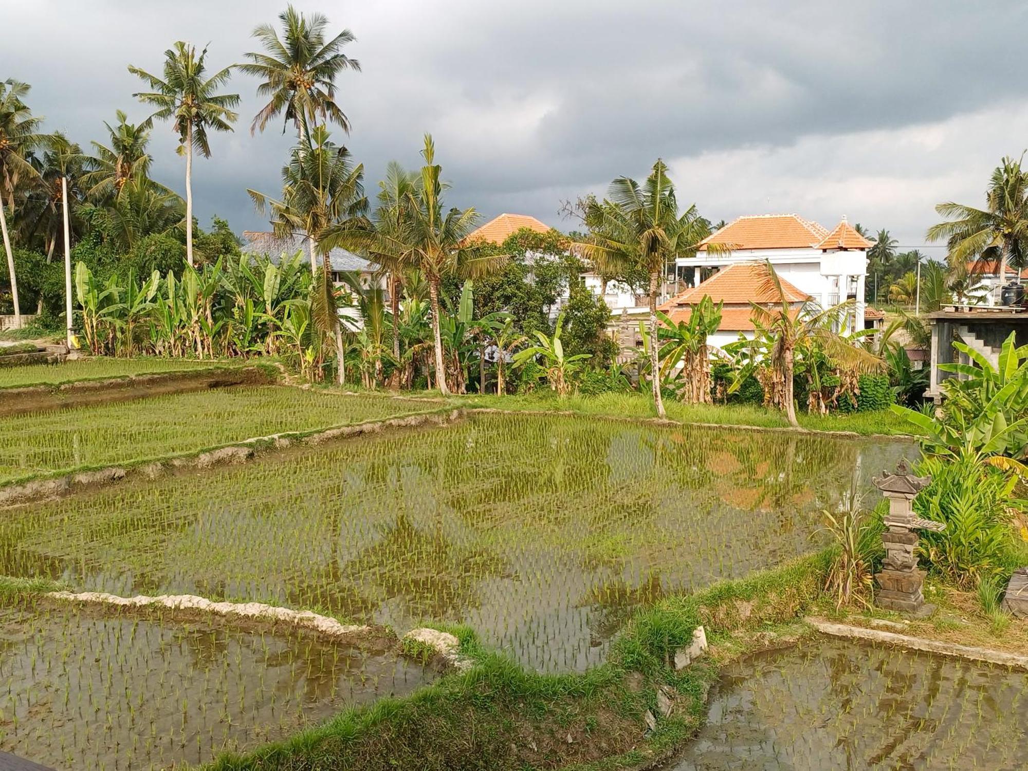 Villa Lanus Ubud Esterno foto