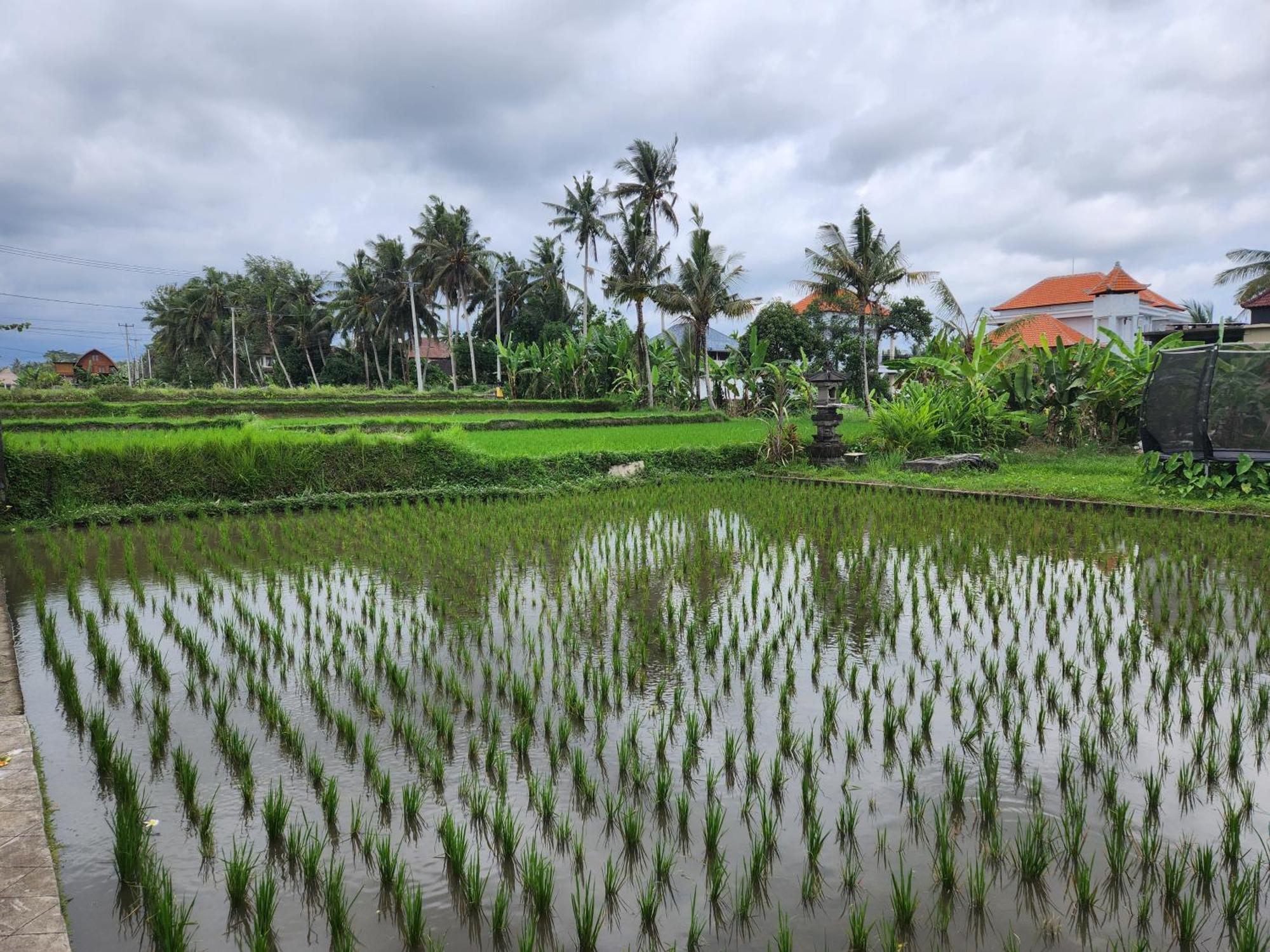 Villa Lanus Ubud Esterno foto
